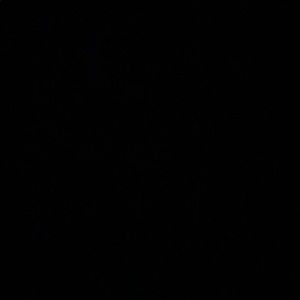 Meet your Posher, Tyree